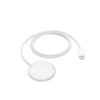 Apple A2140, MagSafe Wireless Charger USB-C Cable (1m)
