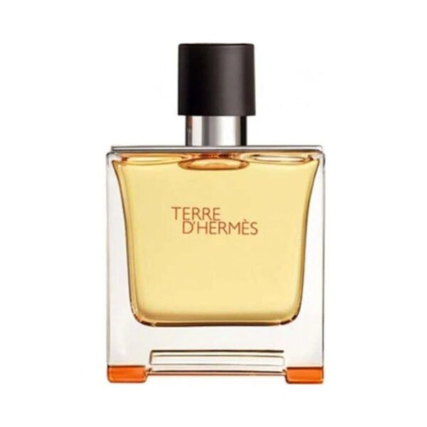 Hermès Terre D’Hermès EDP For Him - 75 ml